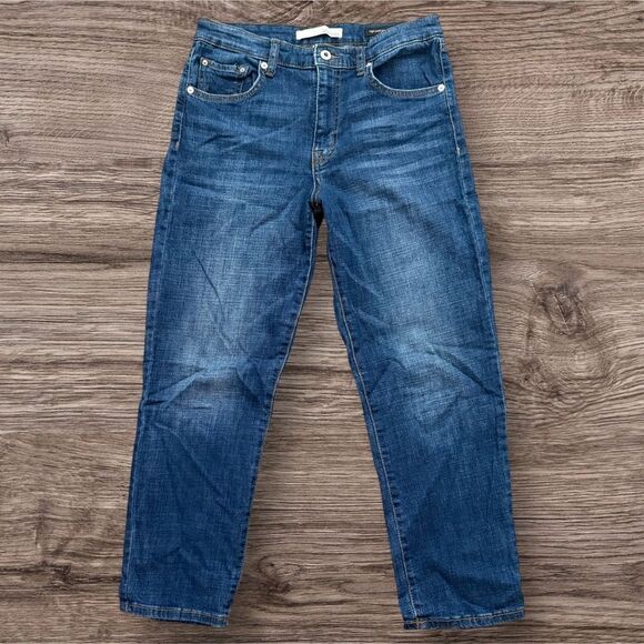 Ella Moss Blue Straight Jeans with Distressed Look 8/29 Junior - Picture 1 of 9